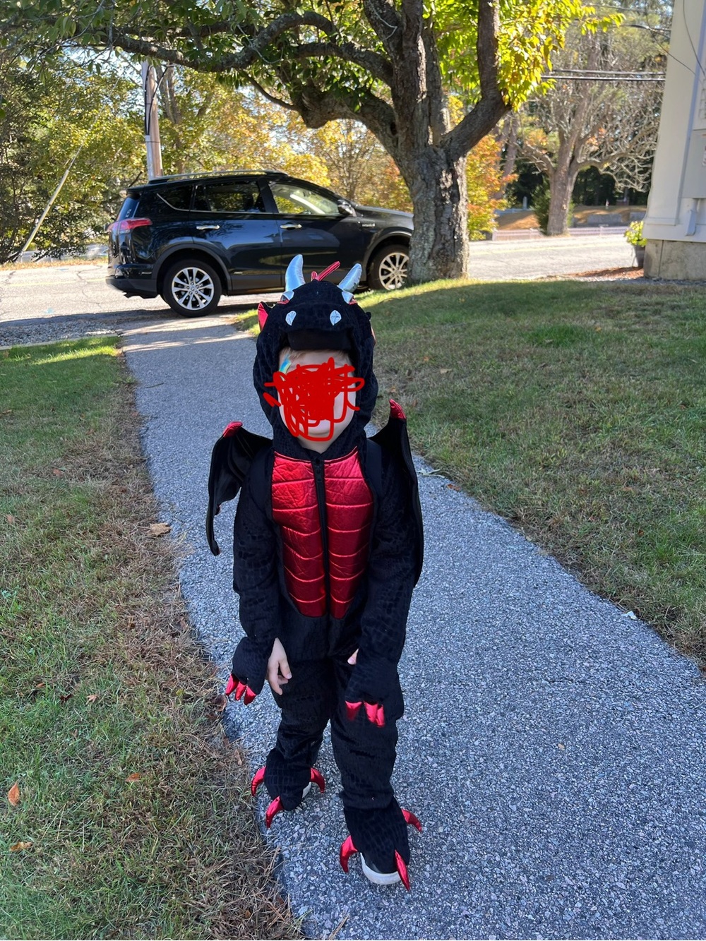 Kids Black and Red Dragon Costume - 4T